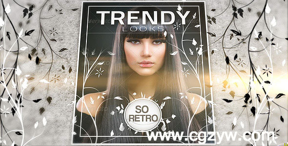 AE模板-时尚花纹照片展示 VideoHive Trendy And Stylish Slideshow