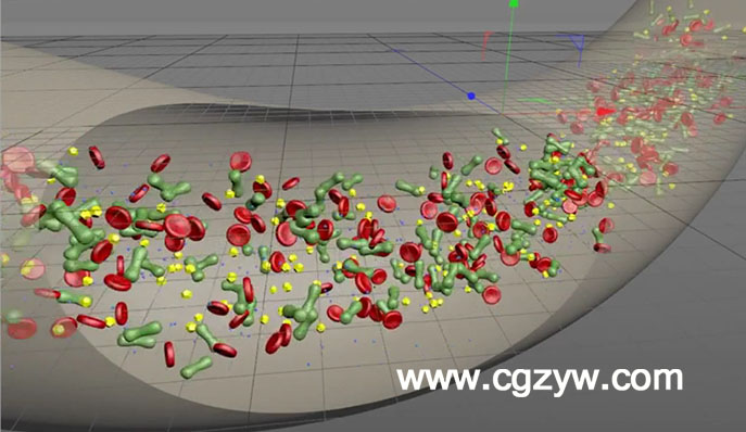 C4D血液红细胞流动教程 Animating a Blood Flow