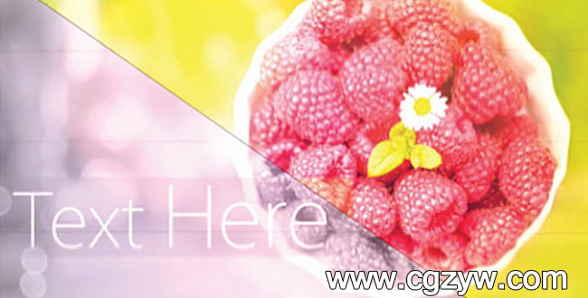 AE模板-优雅的幻灯片放映动画Elegant Slide Show