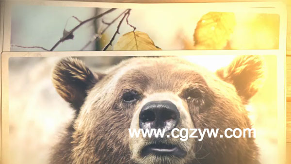 AE模板－迷你相册展示动画videohive-10948573-mono-photo-opener