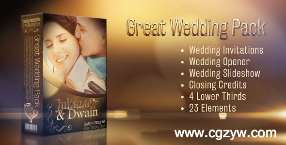 AE模板-唯美金色婚礼回忆视频梦幻粒子包装展示