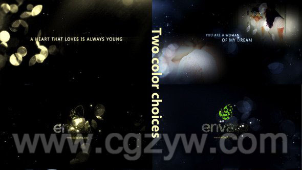 AE模板-优雅金色粒子婚礼浪漫梦幻温馨甜蜜回忆图文展示