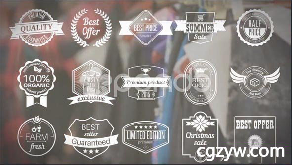 AE模板-唯美简洁动态logo徽章标签展示 免费下载