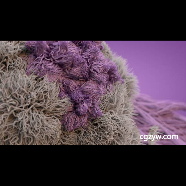 C4D教程Arnold阿诺德渲染器C4DtoA插件案例讲解全面综合教程+工程文件