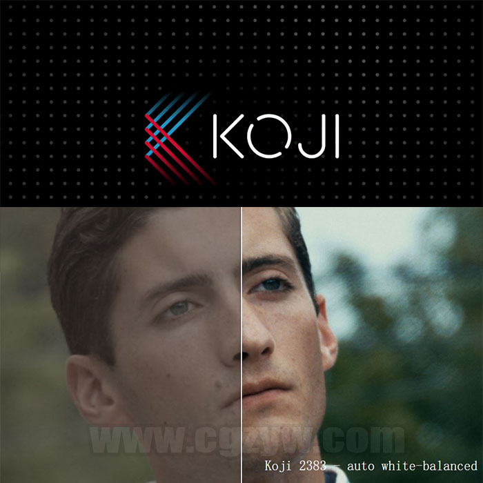 多种LUTs预设Koji StudioAEPremierFCPX达芬奇+ PrAe调色插件Koji Advance v1.008-图片1