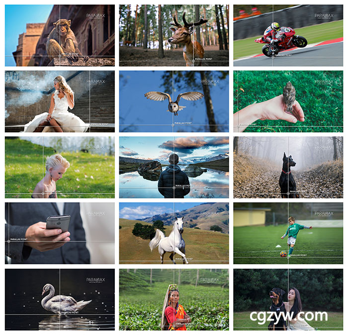 AE模板-图片三维视差动画摄像机运动景深视频效果制作工具包