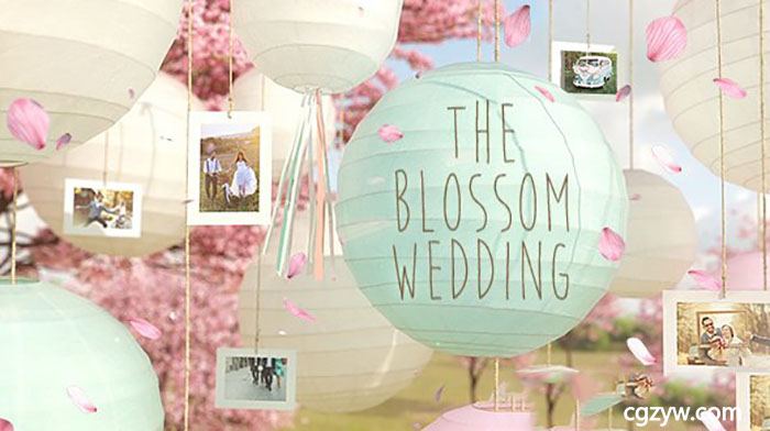 AE模板-灯笼花瓣婚礼情人浪漫爱情相册悬挂相片视频展示片头