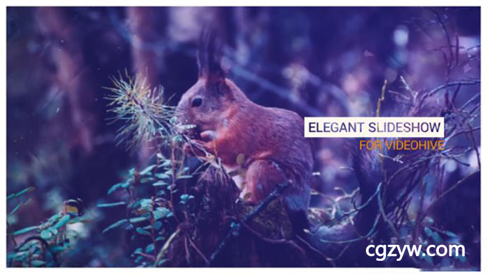 AE模板-大气优雅滑块视差幻灯片图片切换片头 Elegant Slideshow 免费下载