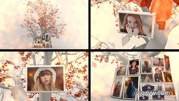 AE模板-树枝悬挂相册唯美婚礼家庭美好回忆照片展示 Memory Tree Slideshow 免费下载