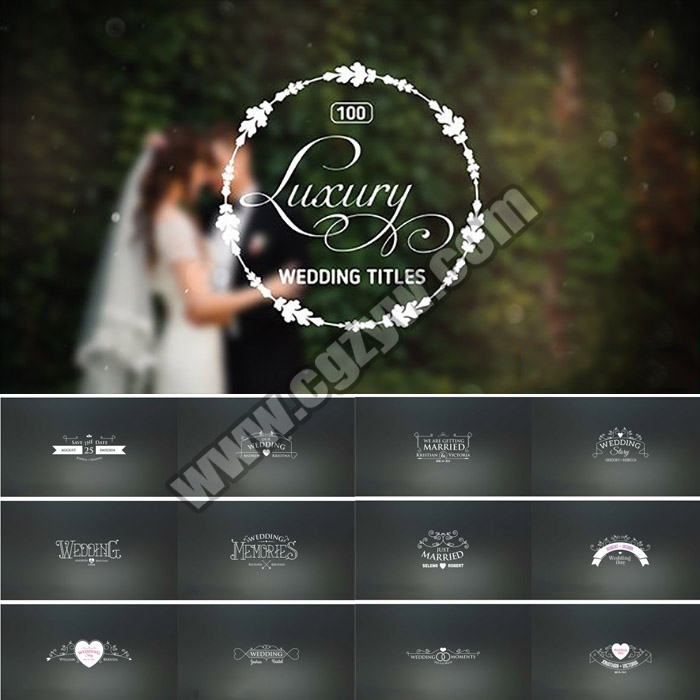 AE模板-100组浪漫优雅婚礼徽章新人姓名日期标题动画效果