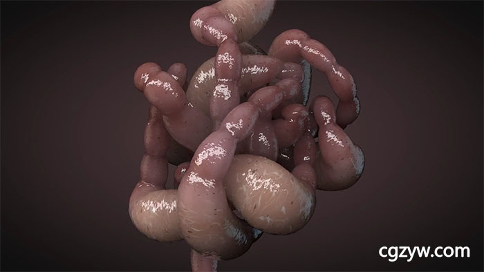 灰猩猩C4D教程-制作粘糊糊的动态肠子Making Some Slimy Guts in Cinema 4D