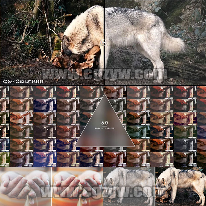 60组电影质感日系小清新MV调色预设 LUT-Film(FCPX达芬奇AEPr等)