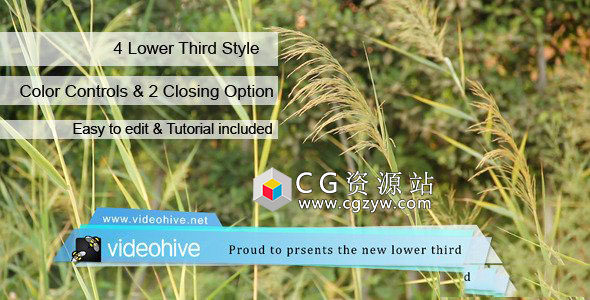 AE模板-简洁广播TV栏目包装底部人名字幕条 Lower Third 免费下载