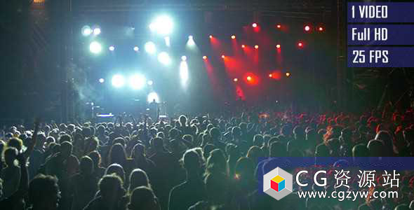 视频素材-音乐会闪光灯舞台人群跳动高清素材Concert Climax 免费下载