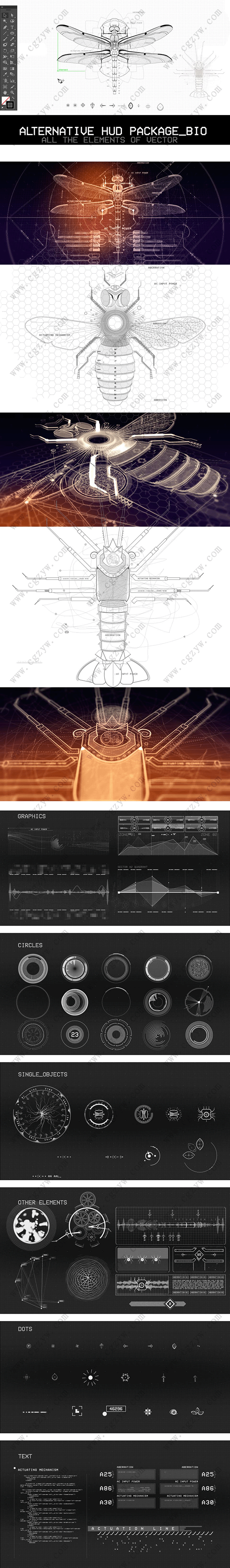 AE模板-高科技HUD蜻蜓蜜蜂生物信息图表屏幕动态UI元素