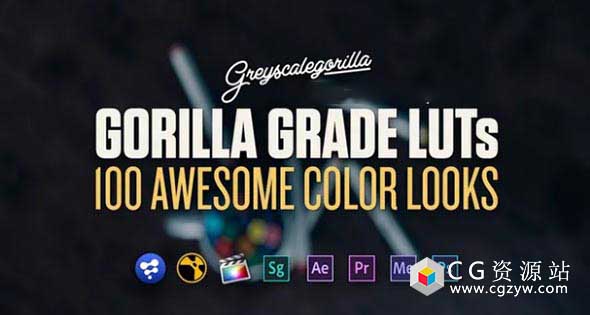 灰猩猩出品的100组电影级LUTs调色预设GreyScaleGorilla – Grade LUTs