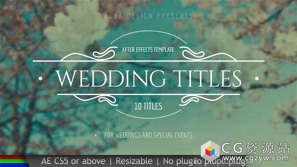 AE模板-10组婚礼文字标题动画 Wedding Titles