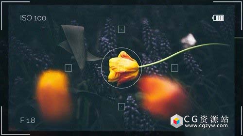 AE模板-现代时尚夏季旅行动态动画数码相机框架叠加展示Summer Travel Camera Memories