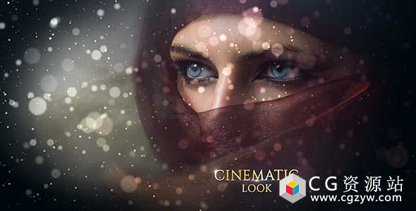 AE模板-时尚优雅电影婚礼商业制作演示粒子幻灯片Slideshow (20106054)-图片1