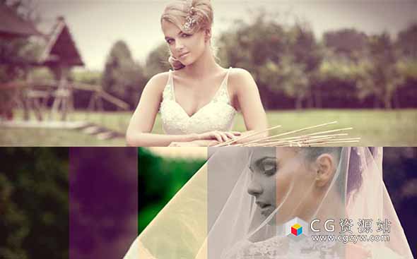 FCPX插件-50组复古时尚婚礼视频调色预设ProWedding