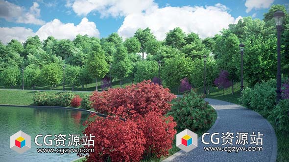 3D树木红橡树红枫树银杏树郁金香树模型(C4D+C4D VRAY格式)CGAxis Models Volume 76 Trees X