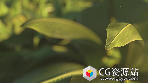 C4D Octane渲染器和AE创建植物树叶合成教程 Cinema 4D and Octane – Texturing and Rendering a Plant Scene Tutorial