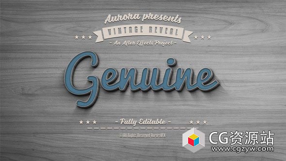 AE模板-三维复古文字标志揭示Logo动画 3D Vintage Reveal