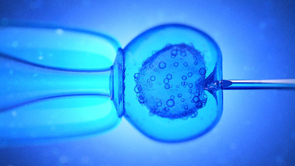 C4D和AE针尖细胞医学动画教程Cinema 4D and After Effects – Medical Animation Tutorial