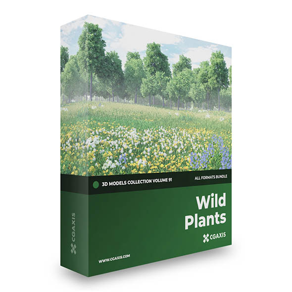 野生植物花朵3D模型 CGAxis – Wild Plants 3D Models Collection Volume 91(C4D/MAX/OBJ/FBX等格式)