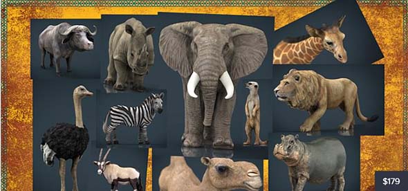 非洲野生动物3D模型 Cubebrush – Wild Africa Pack (MAX/FBX/MB/OBJ格式)