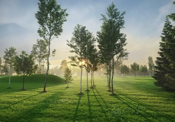 54个3D树木模型Evermotion Archmodels Vol. 176 – Trees-图片1