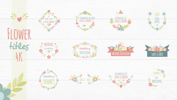 AE模板-多彩情人节婚礼花卉文字标题动画Flower Titles