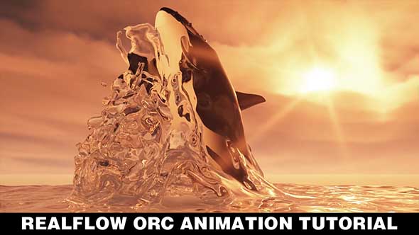 C4D+RealFlow制作鲸鱼出水动画教程 Skillshare – RealFlow Orca Animation Tutorial