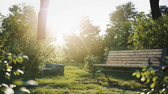 灌木植物3D模型 Gumroad – Bushes & Hedges for 3ds Max