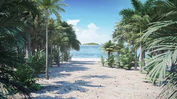 棕榈树植物3D模型集合CGAxis第110卷