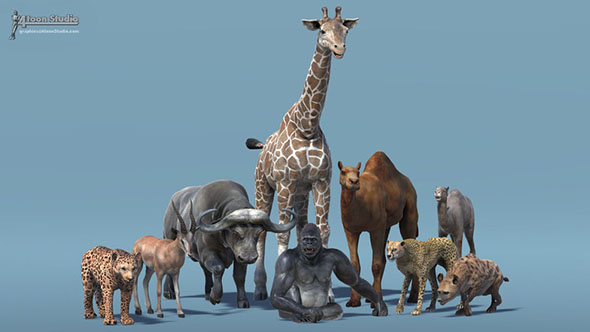 Unity非洲动物包2含绑定水牛长颈鹿大猩猩等African Animal Pack 2 v2.0