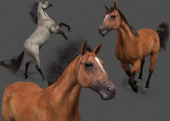 马3D模型 CGTrader – Ultimate Horse Collection – 3d model
