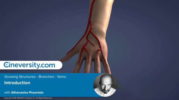 静脉分支生长动画C4D教程 Cineversity – Growing Structures – Branches and Veins In Cinema 4D