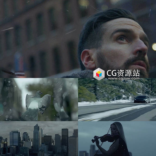 120组下雪飘雪特效合成4K视频素材