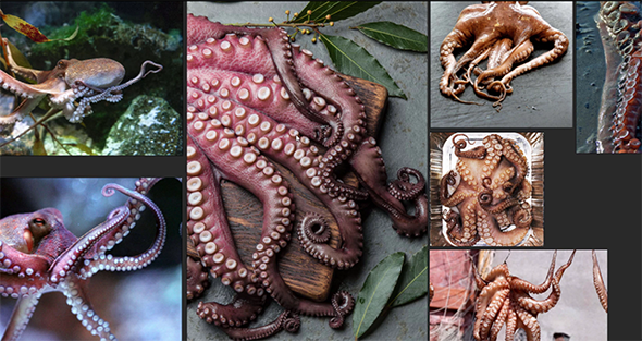 Substance Designer章鱼触手制作教程 Gumroad – Advanced Shape Creation in Substance Designer