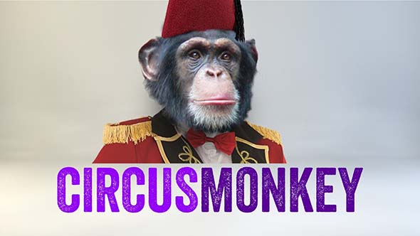 3D空间文字运动排版MG动画AE脚本 CircusMonkey V1.12 + 使用教程