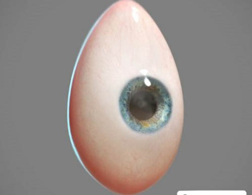 眼睛模型绑定Maya预设 Gumroad – StretchyEye v1.0