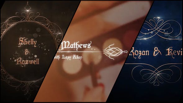 AE模板-优雅粒子婚礼标题包动画 Elegant Wedding Titles Pack