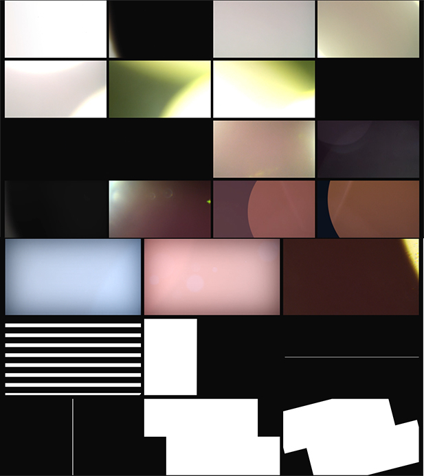 AE模板-300+婚礼标题标签花朵水彩枝条动画光效素材工具包-图片4