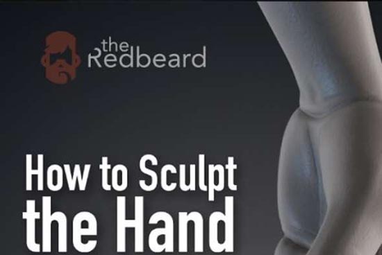 手部模型雕刻ZBrush教程 Gumroad – How to Sculpt the Hand