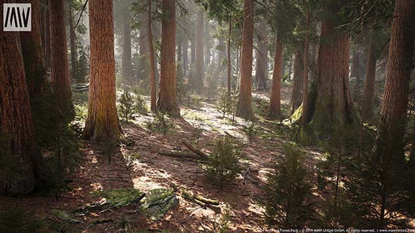 UE4红木岩石森林模型合集 Redwood Forest Collection