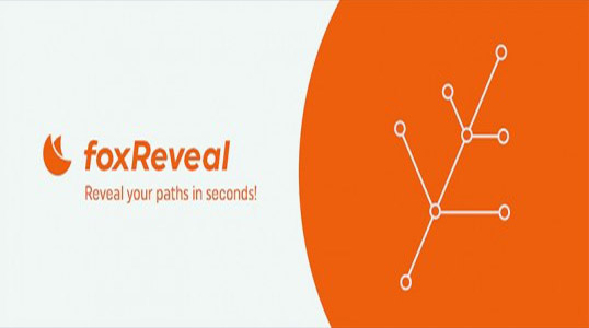 复杂图形路径生长动画AE脚本 Aescripts foxReveal v1.0 + 使用教程