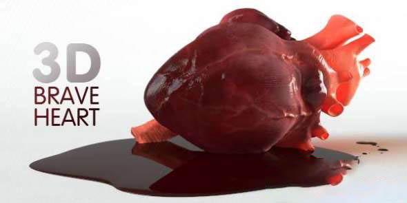 人体心脏3D模型 3DOcean – Brave Heart – 3D model of human heart