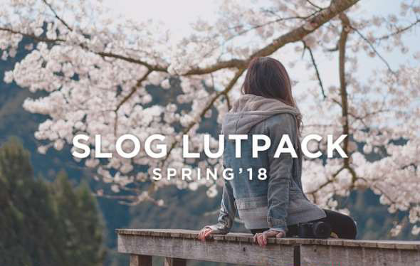 9组索尼Sony LUTS视频调色预设AE/Pr/FCPX/达芬奇/PS等