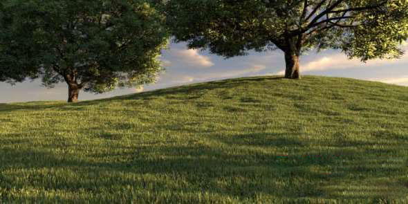 3DS MAX草地自动生成插件破解版 Happy Digital AutoGrass 1.50 for 3ds Max 2013 – 2020